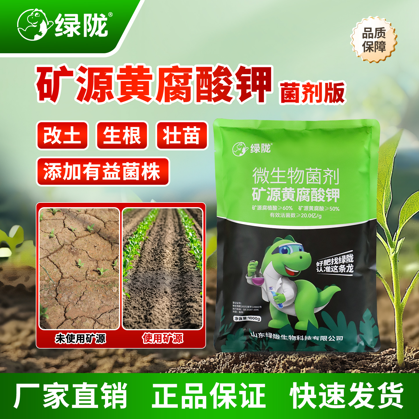 菌剂版矿源黄腐酸钾 含菌20亿/g 生根改土缓解板结 绿陇肥料