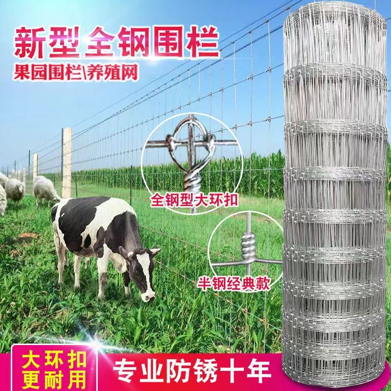 热镀锌铁丝网防锈围栏网批发牛栏网拦牛羊果园钢丝网防护网养殖网
