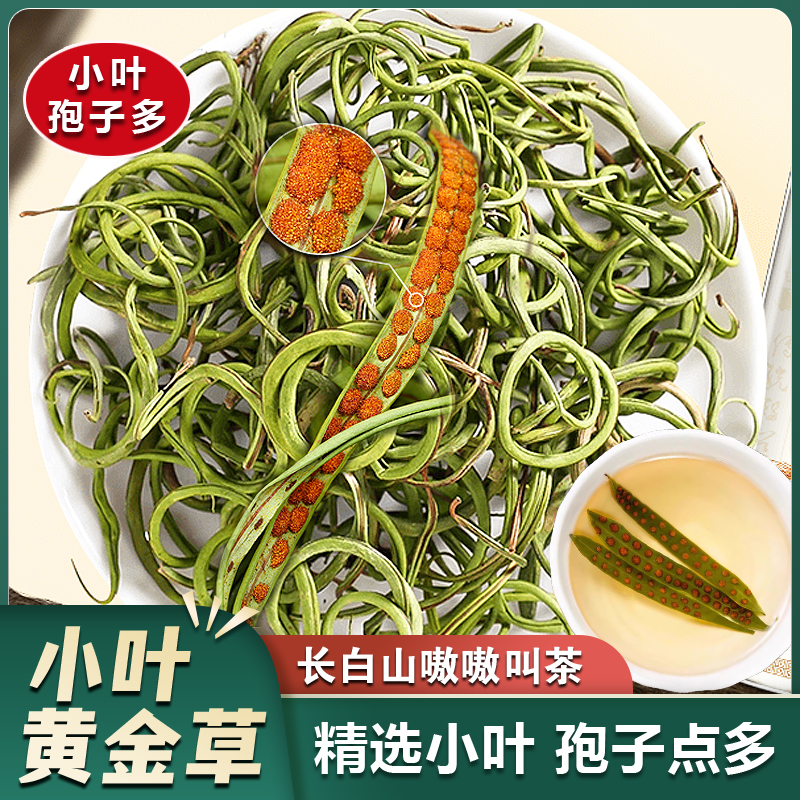 长白山嗷嗷草 深山小叶黄金草 孢子多 东北嗷嗷茶 小叶石草配枸杞