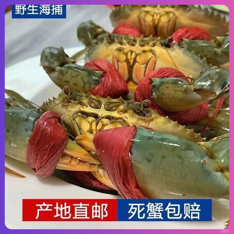 【包活】3-4两红膏蟹野生小膏蟹包膏红鲟特大红膏蟹全膏特大螃蟹