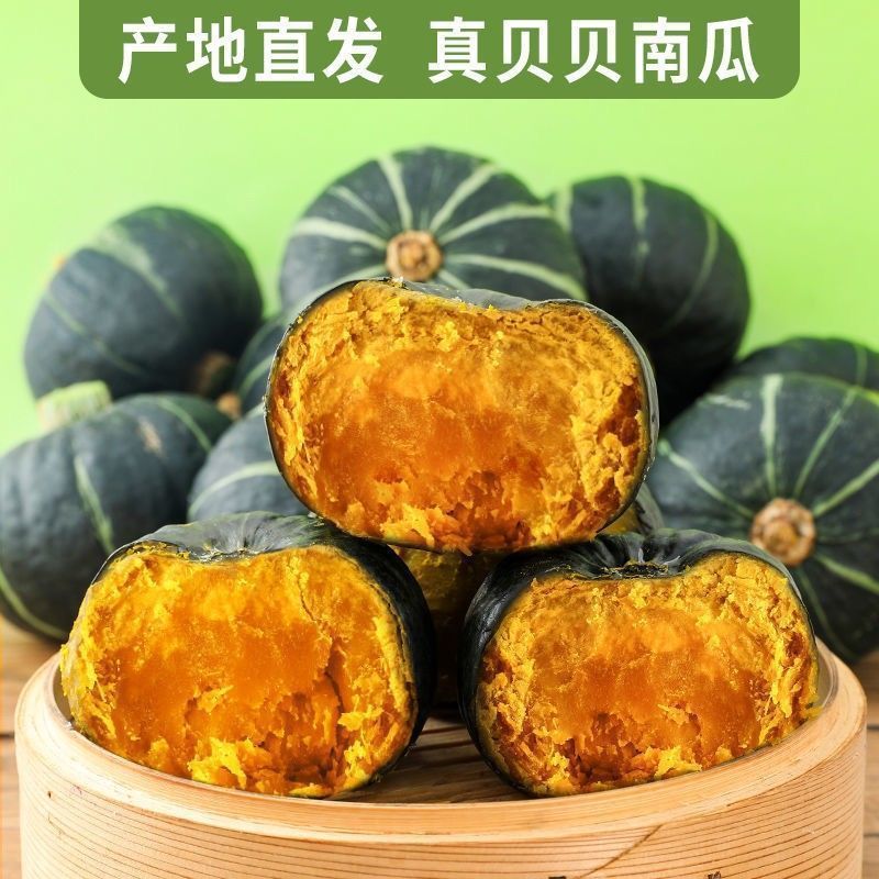 【进口种源】正宗惠和一号山东原产地粉糯香甜贝贝小南瓜板栗味贝贝