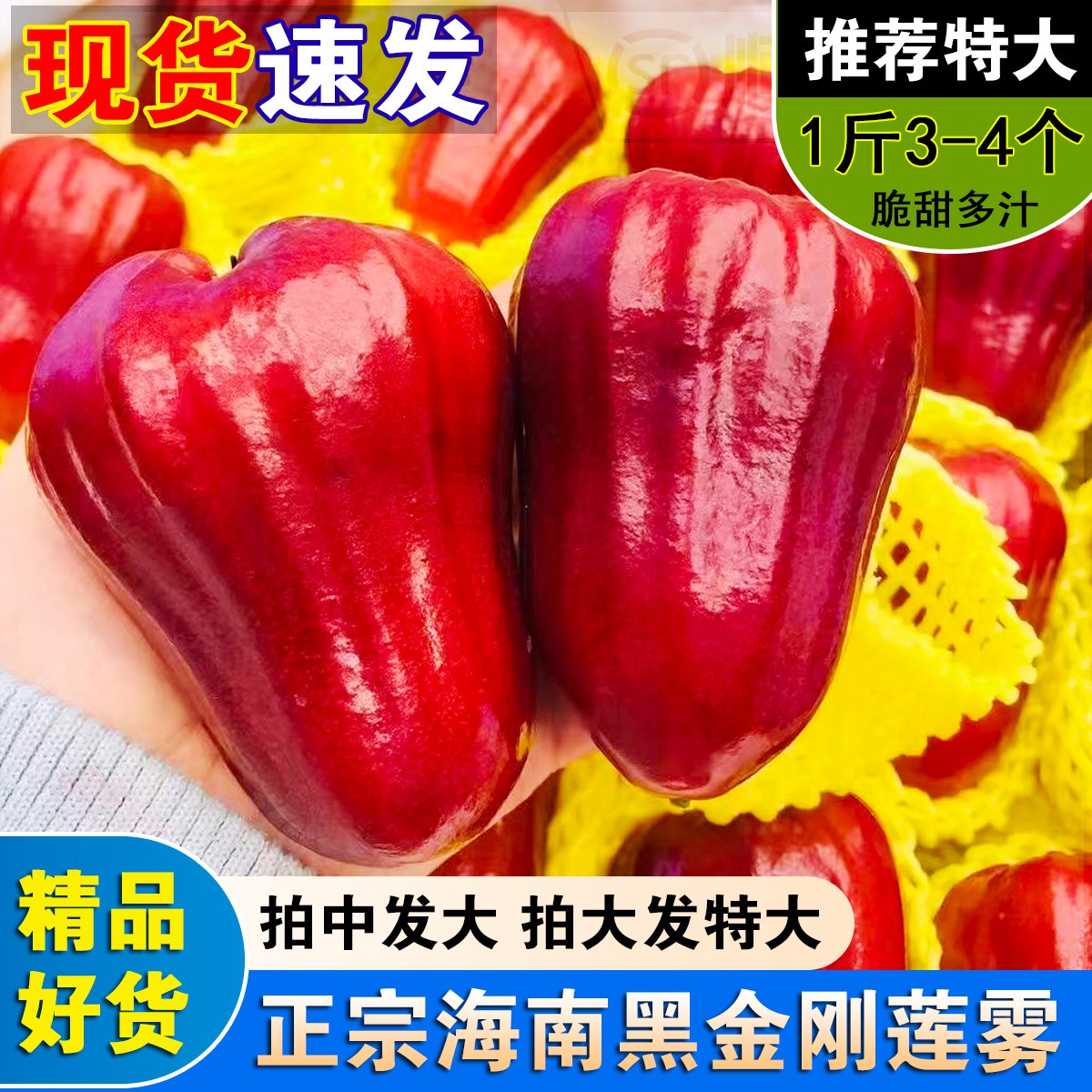 【顺丰包邮】黑金刚莲雾2-5斤清甜多汁新鲜水果精选大果海南热带