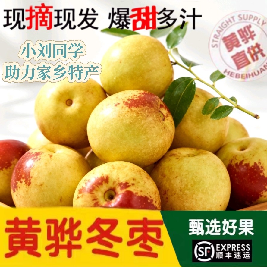 黄骅冬枣特级果礼品脆甜多汁当季新鲜水果