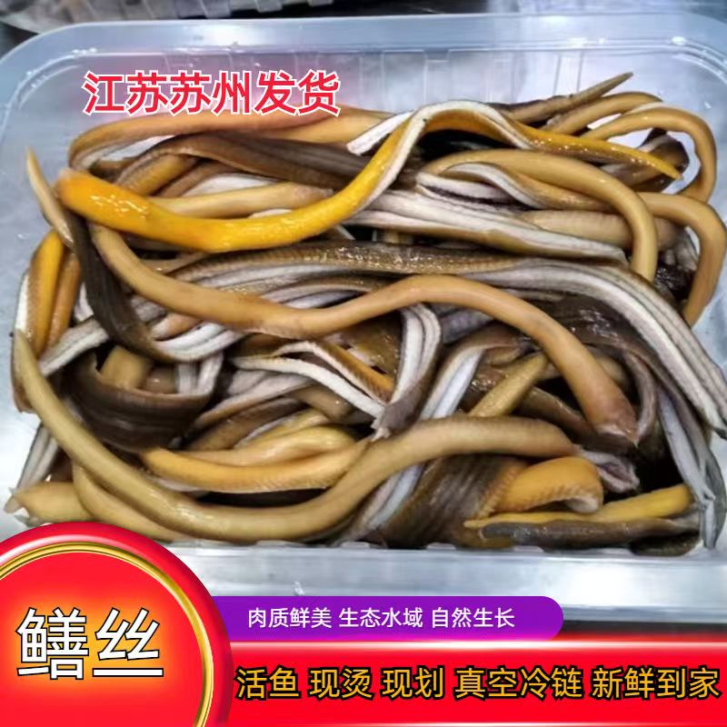 【顺丰冷链】黄鳝丝去骨去内脏黄鳝丝软兜长鱼丝鳝鱼丝响油鳝丝