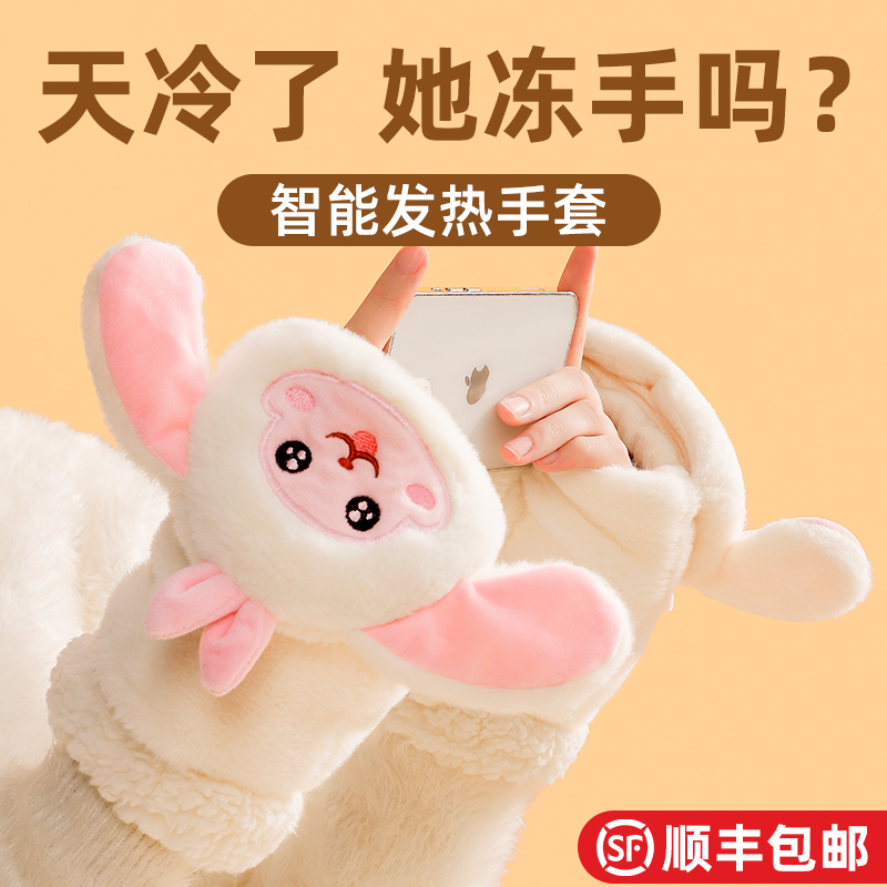 圣诞礼物萌宠暖手宝充电加热发热手套暖手神器usb学生送女生礼物