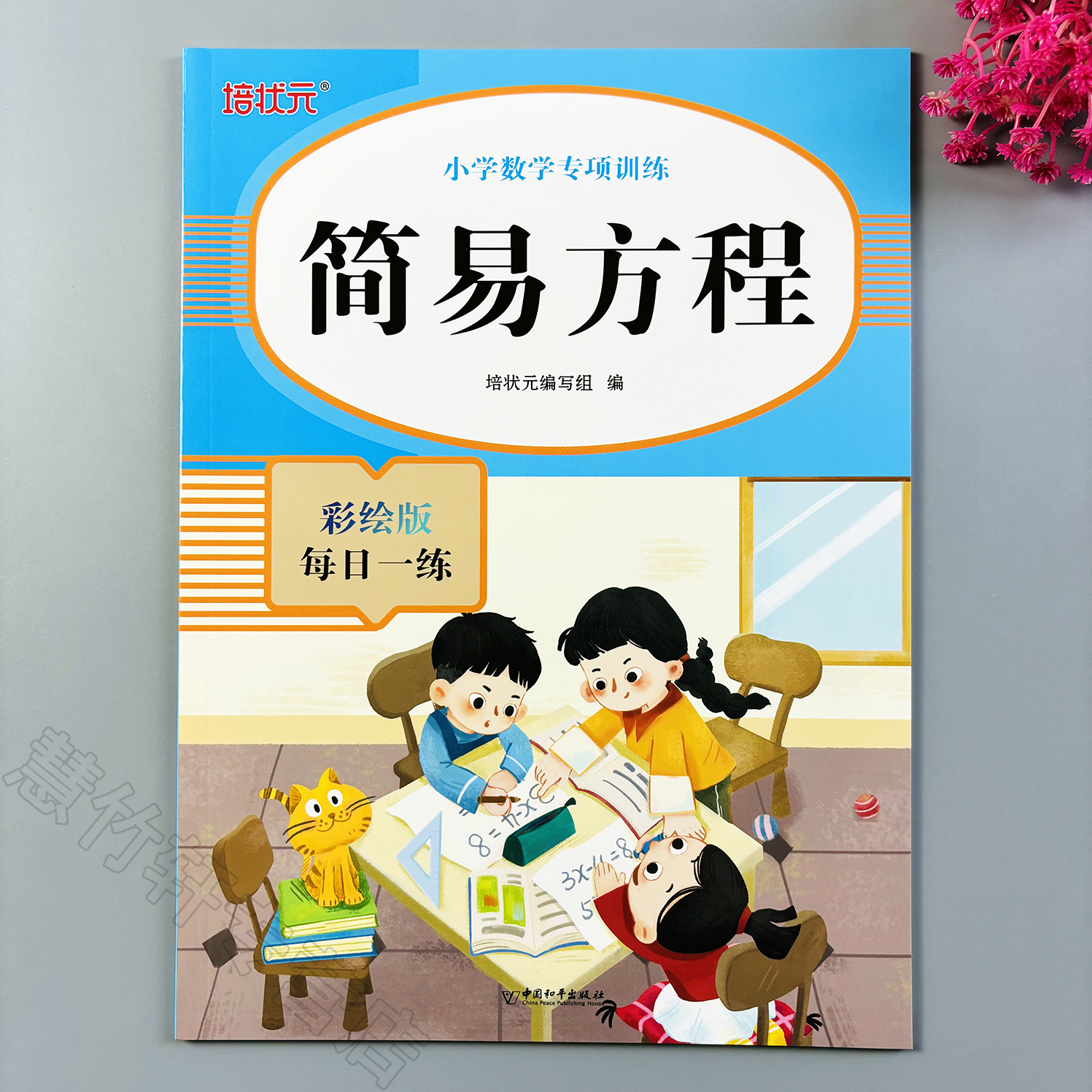 小学数学专项训练简易方程解方程专项训练方程计算应用题练习册