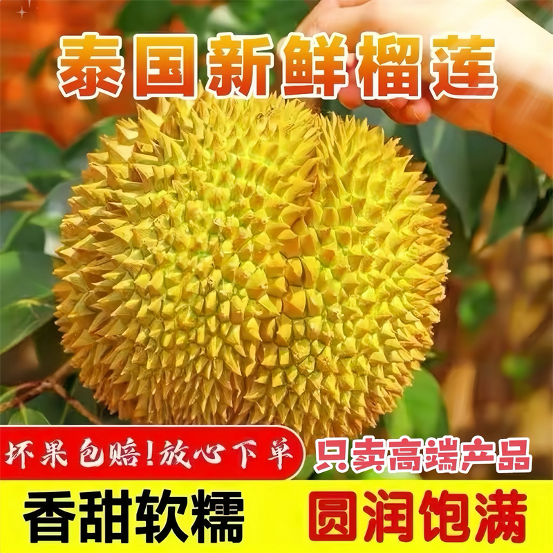 【顺丰现货】榴莲泰国进口金枕A级整果 新鲜水果软糯香甜坏果包赔