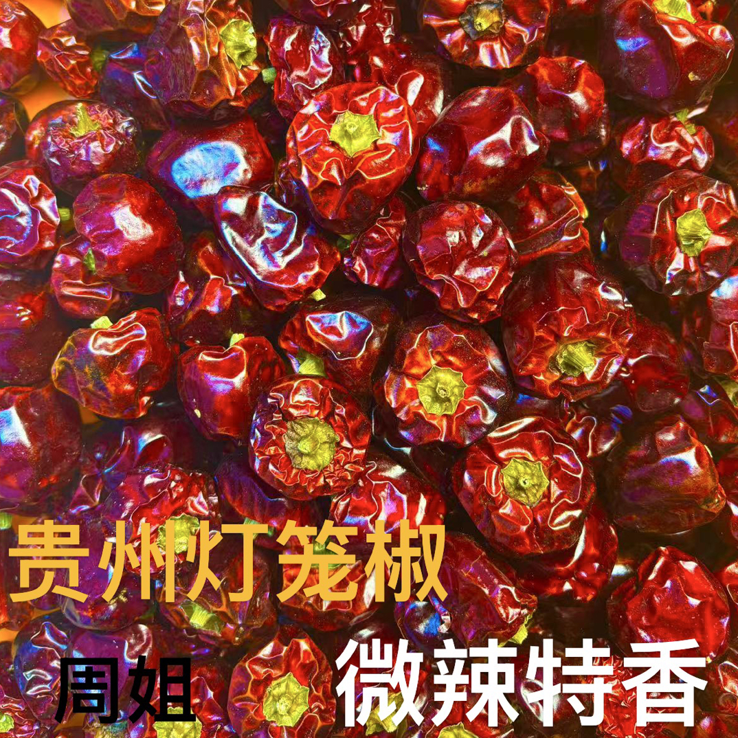 贵州遵义正宗灯笼椒微辣特香家用商用干辣椒