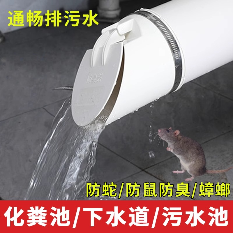 110排水管止逆阀止回阀下水管道排污防臭器堵口75/160户外防老鼠