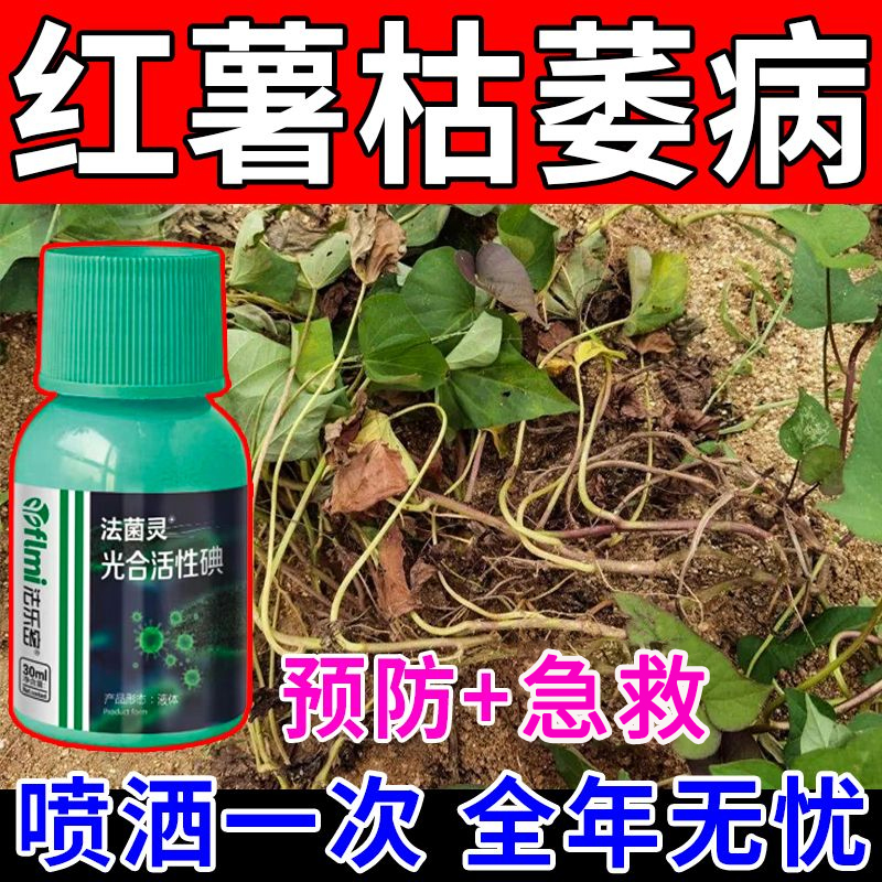 红薯枯萎病专用红薯叶面肥红薯地瓜病全管病毒病根腐病软腐病肥料