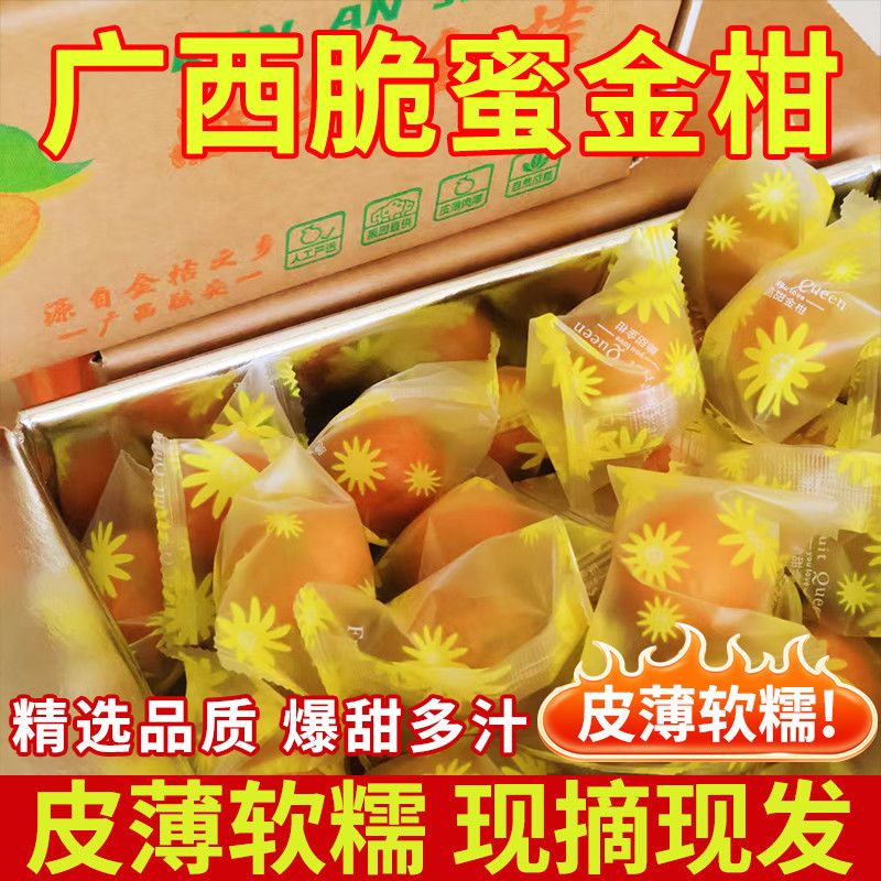 【到手33-37个独立包装】三代脆蜜金桔广西脆蜜金柑小金桔新鲜无籽