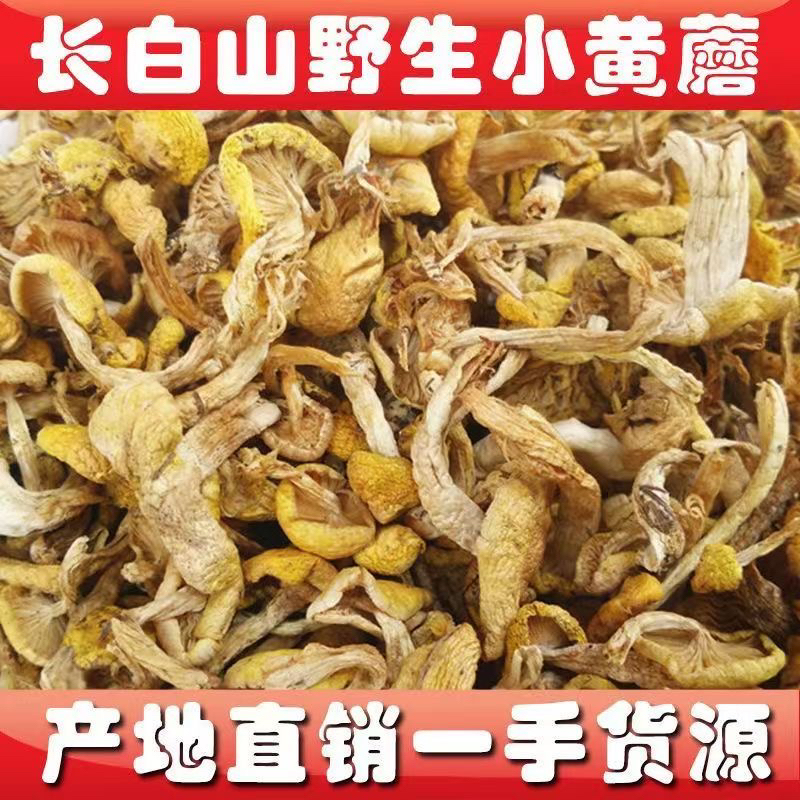 东北特产野生小黄蘑干货蘑菇小鸡炖蘑菇煲汤炒菜新货