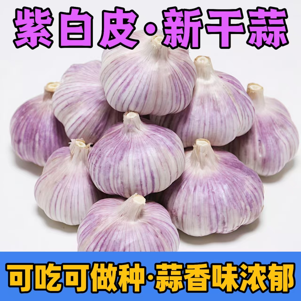 正宗紫白皮大蒜新鲜干蒜农产品生鲜特产LQ4