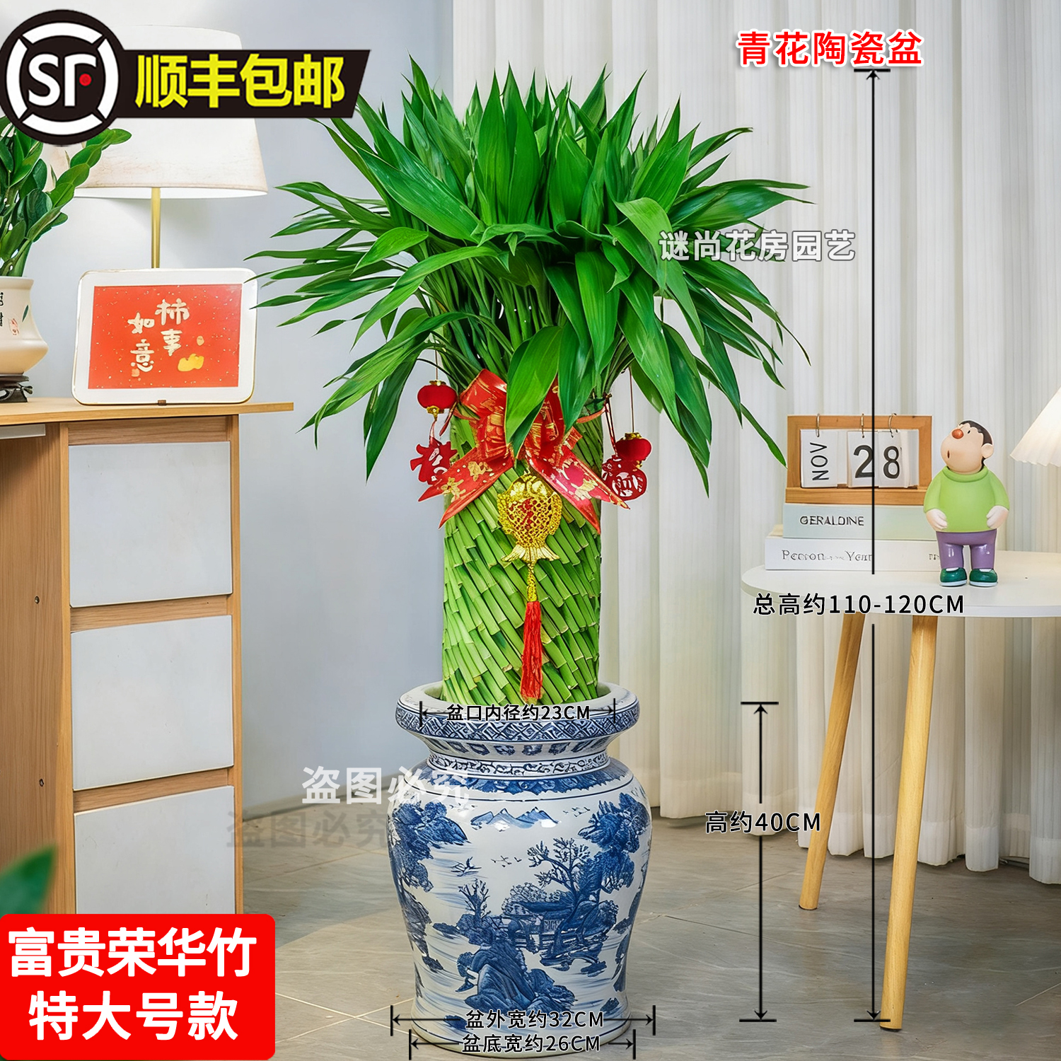 水培招财富贵荣华竹美观好养办公室客厅乔迁开业送礼绿植盆栽顺丰