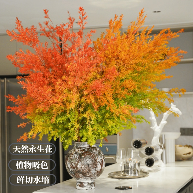 【千层金鲜花】黄金香柳懒人宝妈室内优选水培干插云南基地顺丰直发