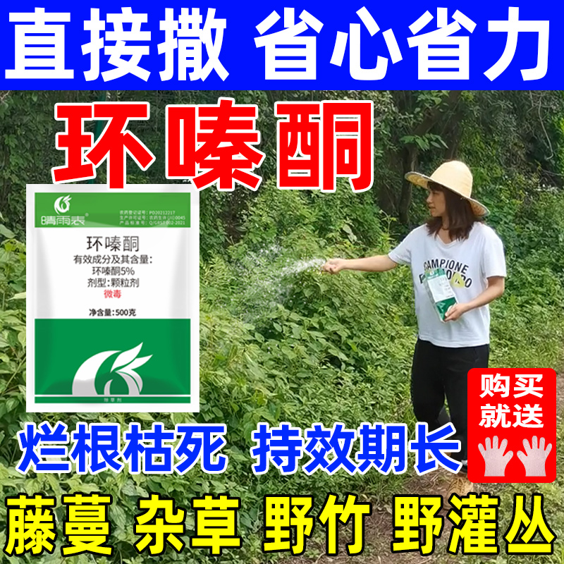 环嗪酮哃除草剂除草烂根剂颗粒剂除草烂根枯死药烂根专用剂正品