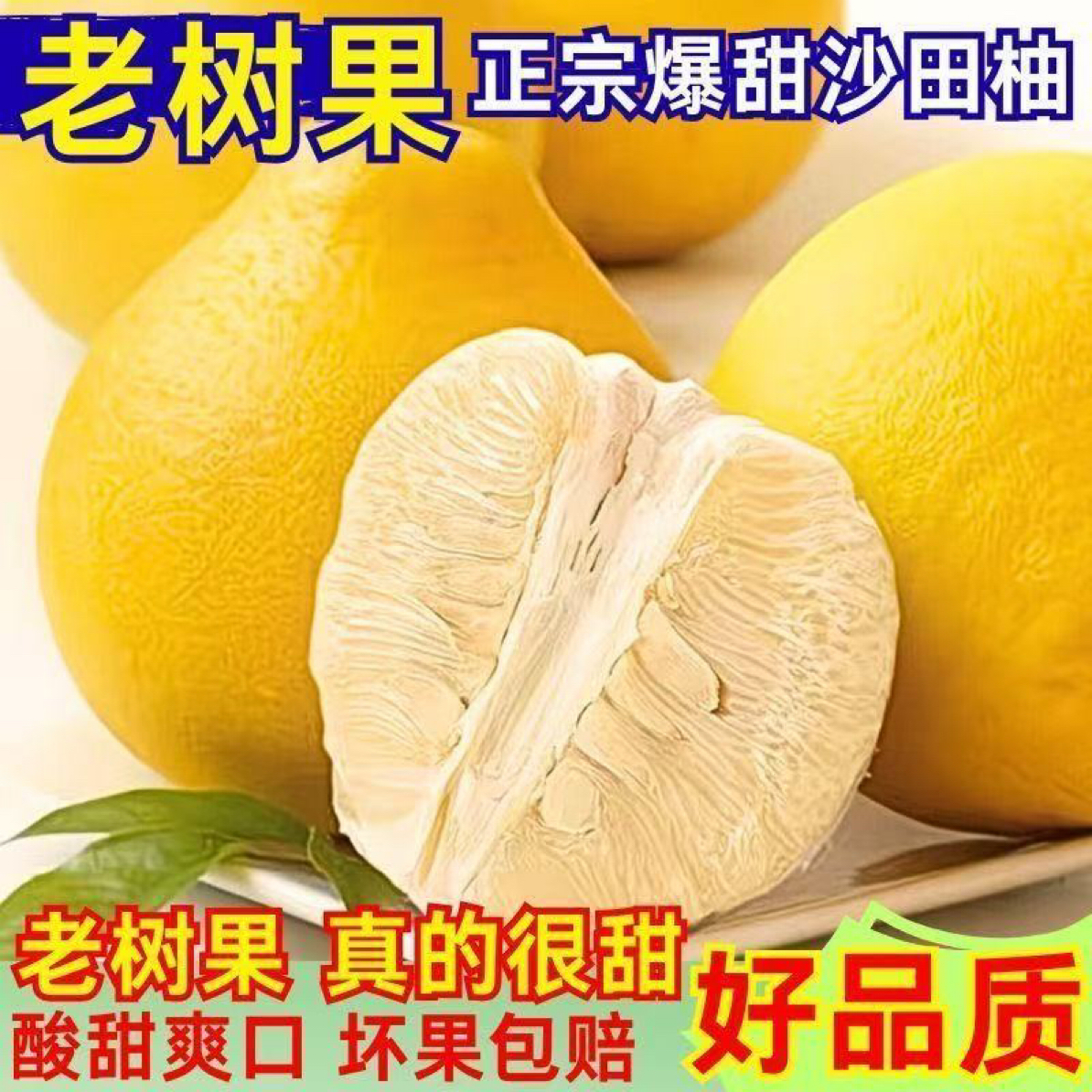 新鲜应季沙田柚清甜多汁现摘水果（A货礼盒装）