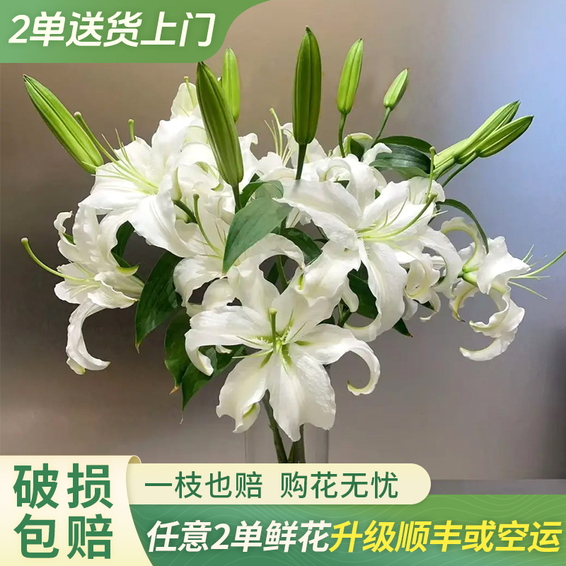 【大聪明卖花】西伯利亚香水百合云南直发鲜花家居水养鲜花花束客厅