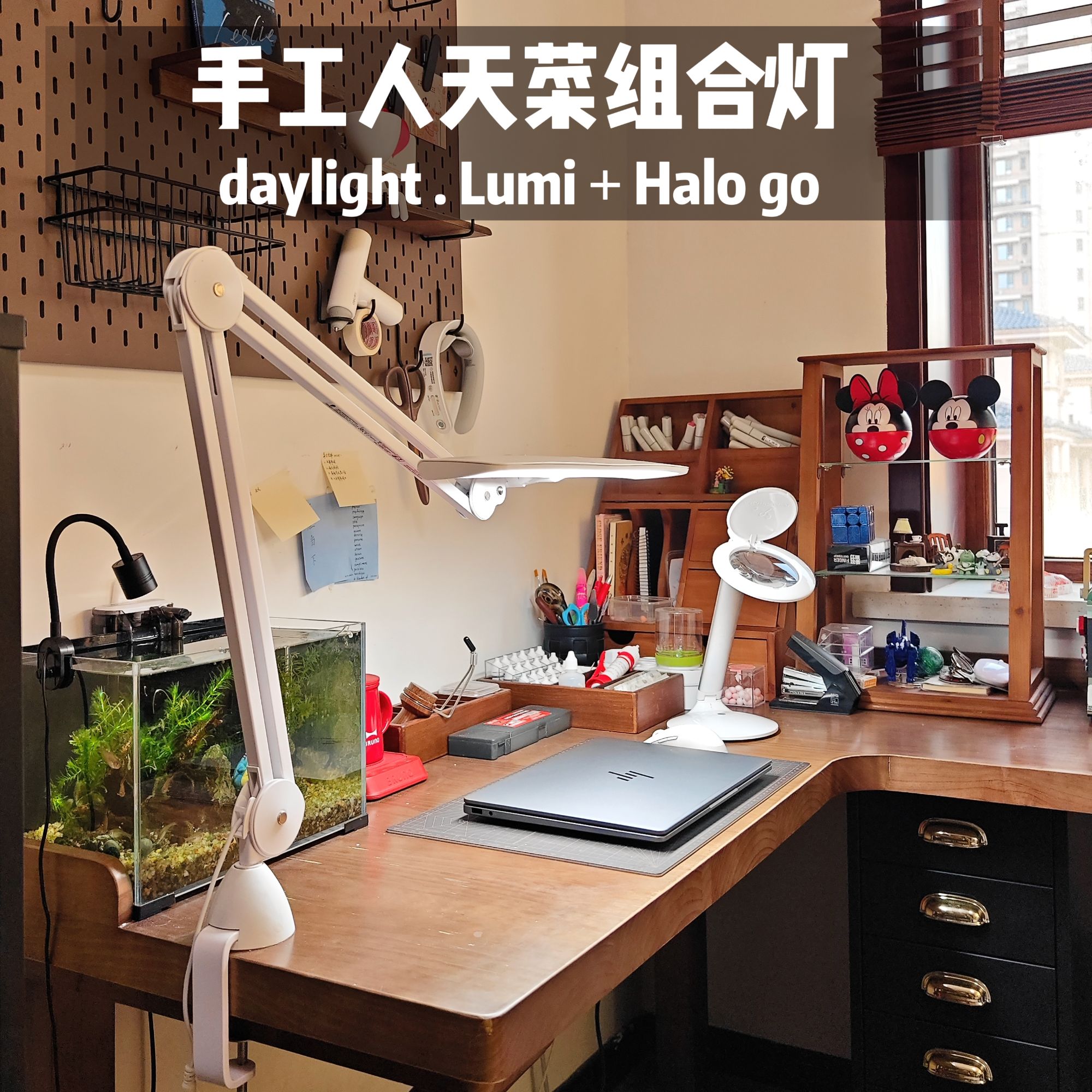 Daylight.Lumi工作灯和HaloGo充电放大镜台灯创意书桌家用组合