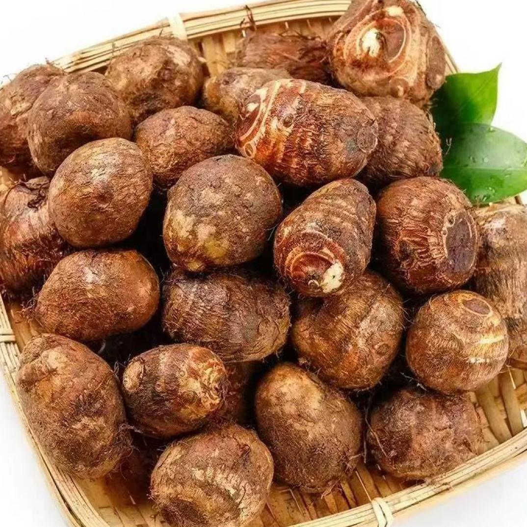 云南高海拔红土地种植新鲜牛奶小芋头应季现挖香甜软糯粉滑芋仔