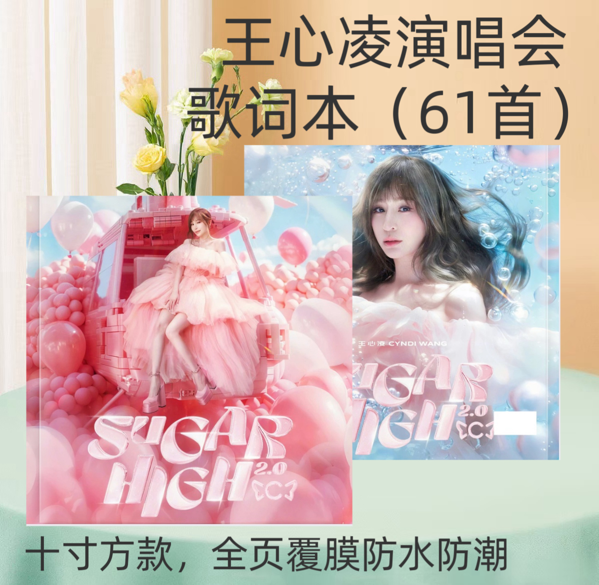 王心凌演唱会歌词本相册周边应援相册