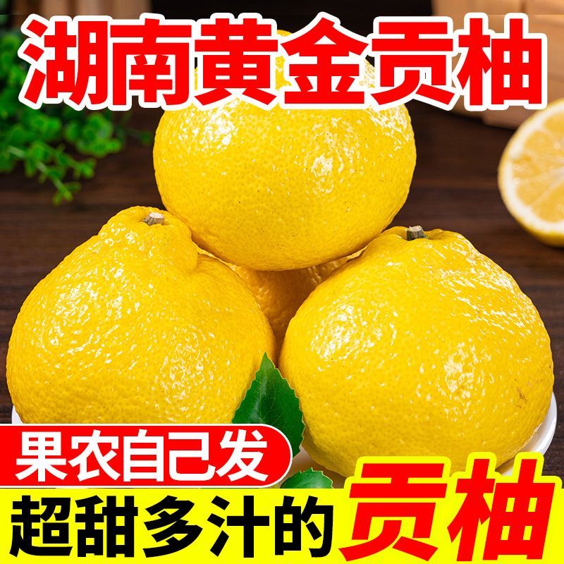 【清香甜】湖南怀化麻阳黄金贡柚春香柚子超甜多汁手剥桔柚象山青柚