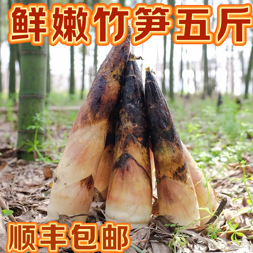 【顺丰包邮】5斤整箱新鲜竹笋雷笋鲜嫩现挖现发嫩竹笋春笋5斤