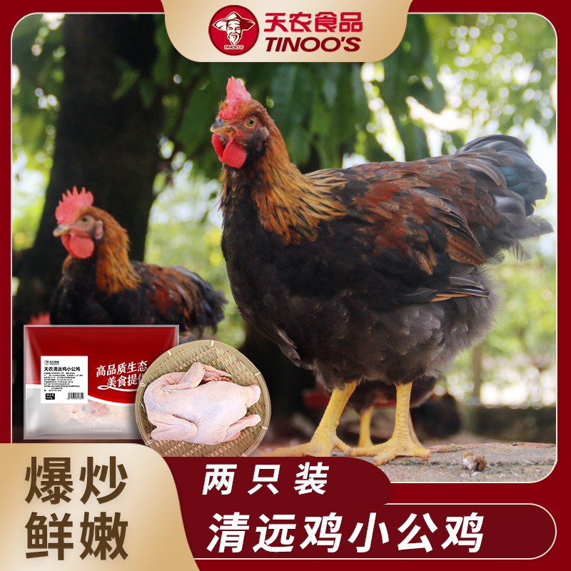 【天农】清远鸡 公鸡2只 单只800g