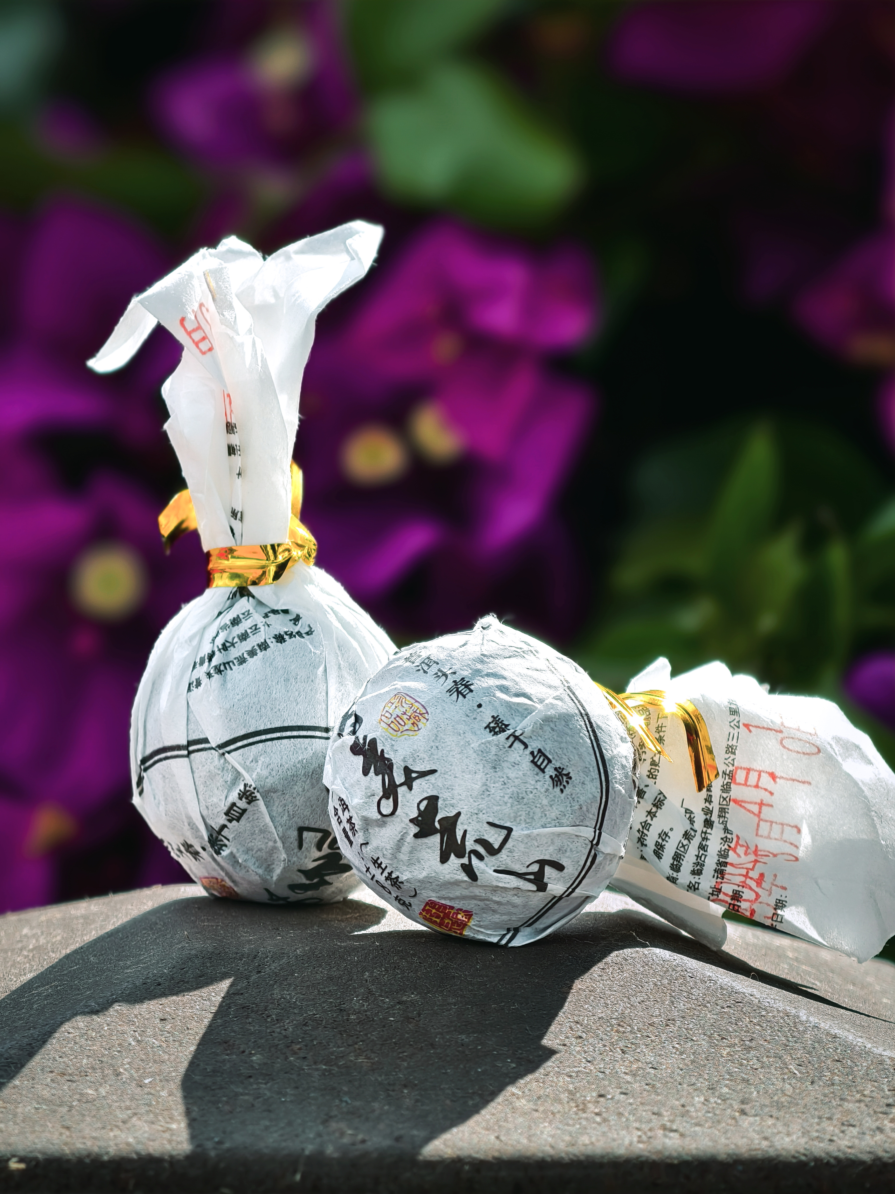 （新粉必喝）2024南美南华荒山（小多依树山）头春头采普洱生茶龙珠