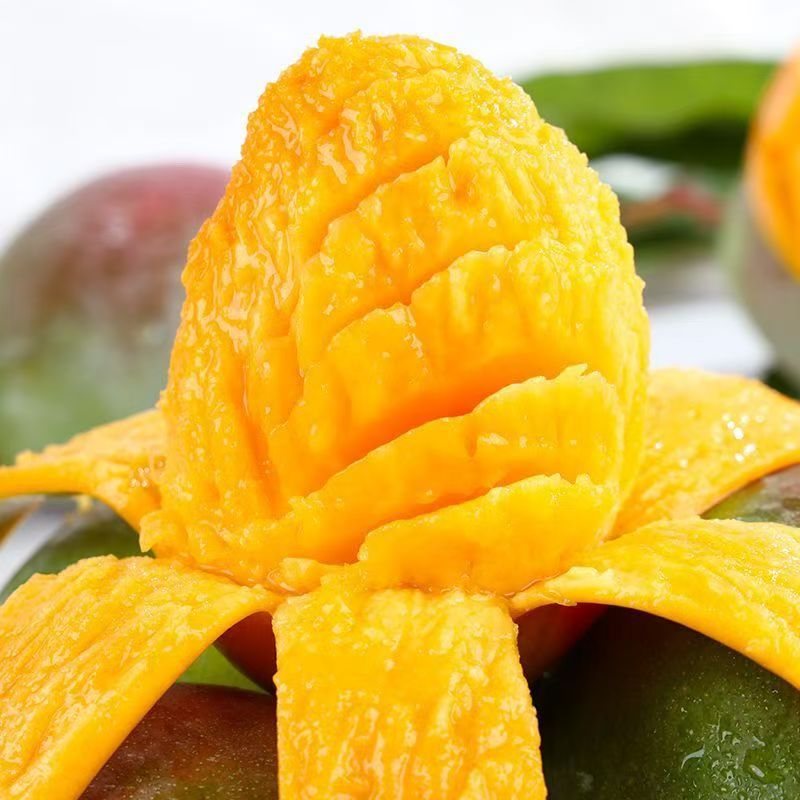 M【催熟后食用 】攀枝花凯特芒果新鲜水果产 带箱9-10斤装