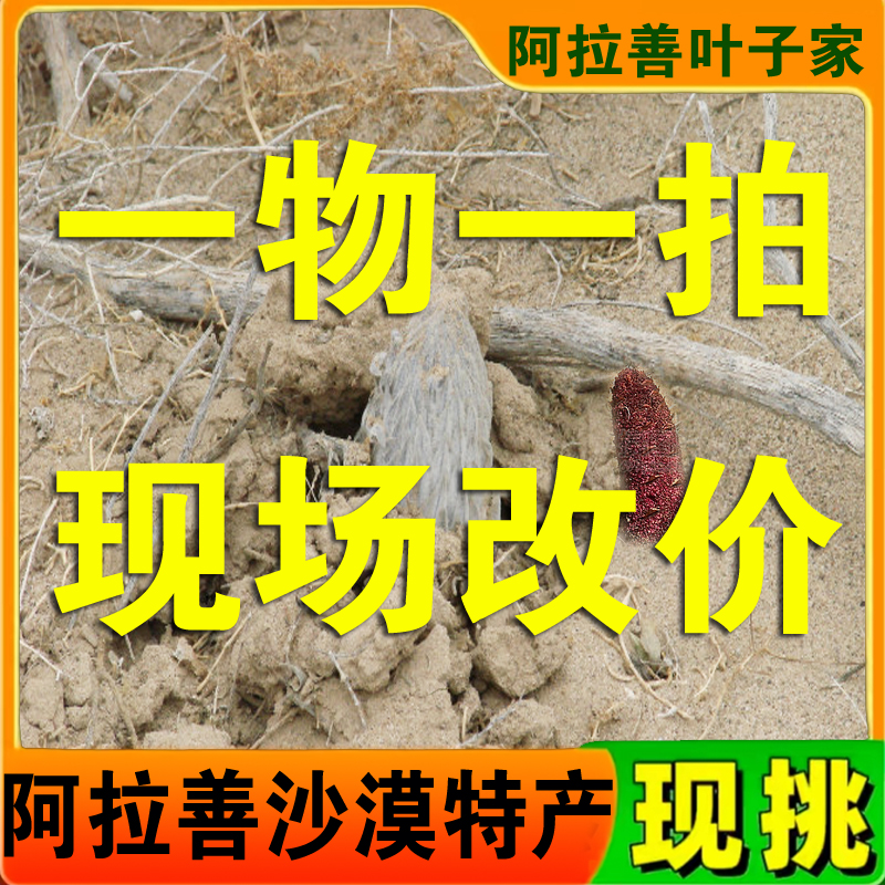 新鲜沙漠人参泡酒泡水煲汤1500克顺丰包邮