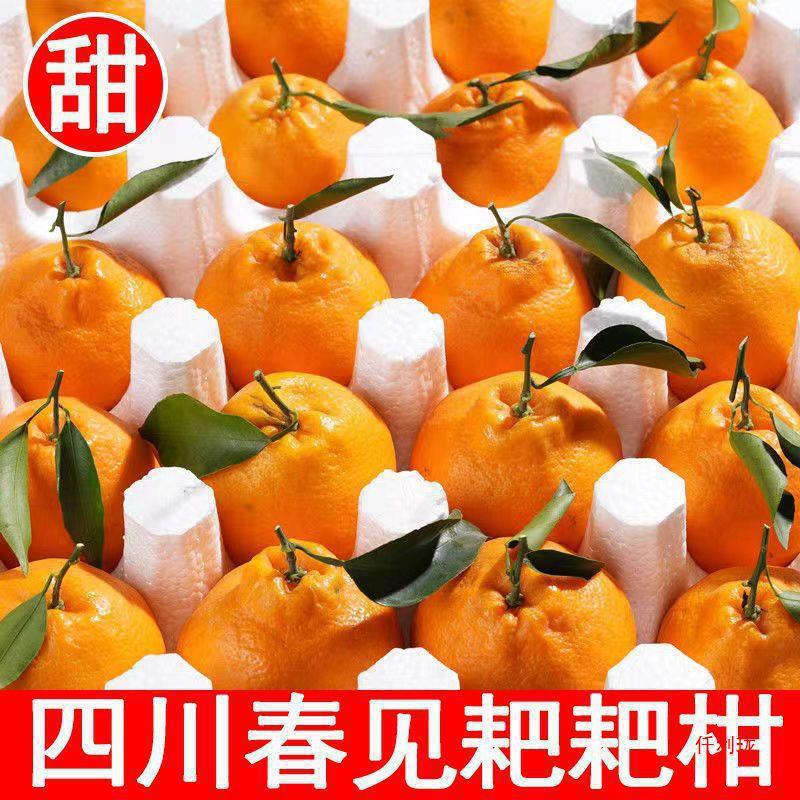 四川春见耙耙柑当季新鲜水果5斤/8斤新鲜采摘产地直发鲜甜爆汁