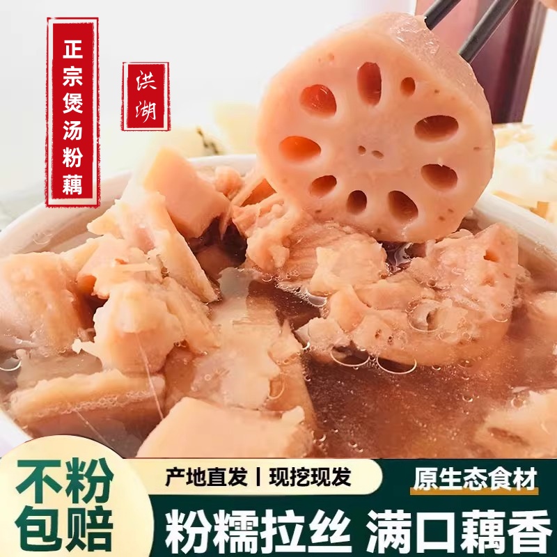 湖北洪湖正宗粉藕新鲜现挖带泥九孔红藕煲汤藕香软糯莲藕特产美味