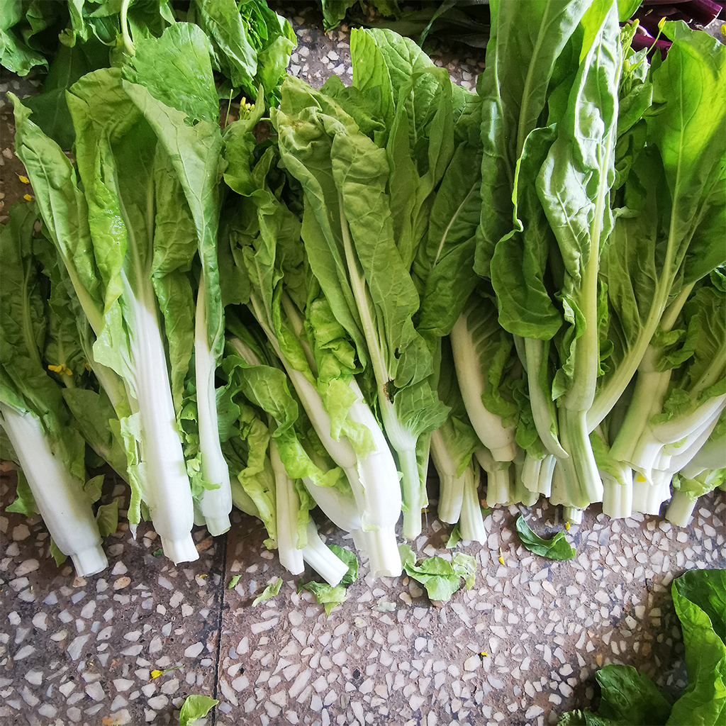 湖北新鲜白菜苔菜心绿色应季蔬菜现摘现发正宗菜苔农家菜青菜包邮