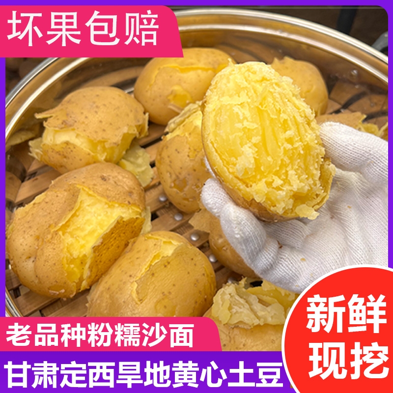 2025甘肃定西黄皮黄心土豆新鲜现挖粉面沙糯洋芋马铃薯5斤/9斤装