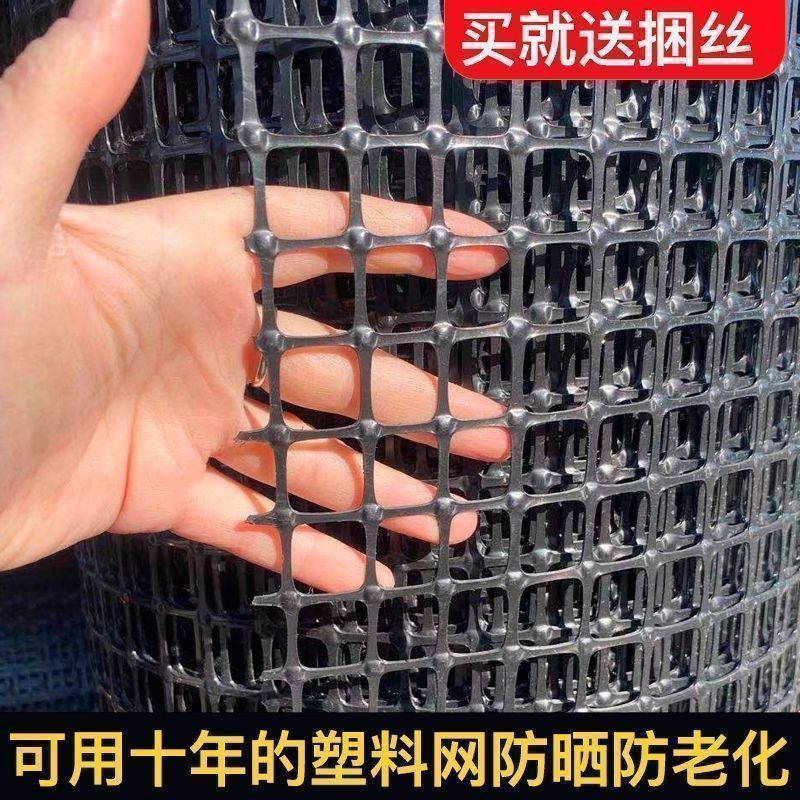 养鸡鸭围栏网塑料网养殖网胶网果园圈地菜园防护网玉米网格栅