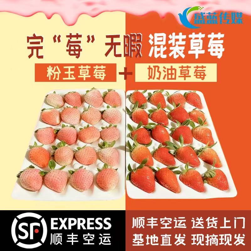 【顺丰现摘】双拼草莓鲜到家