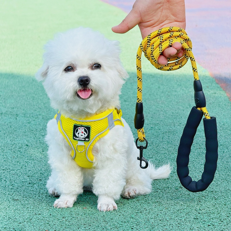背心式狗狗牵引绳小型犬比熊犬泰迪博美小狗宠物胸背带遛狗牵引绳