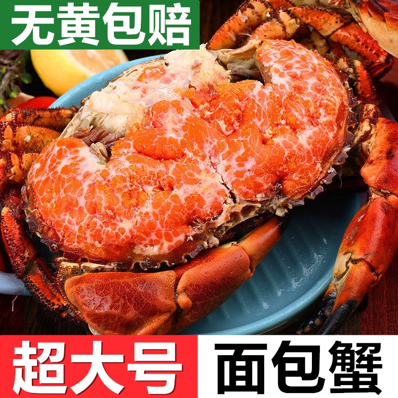 【无黄包赔】超大面包蟹新鲜熟冻特大珍宝母蟹鲜活黄金蟹海鲜螃蟹