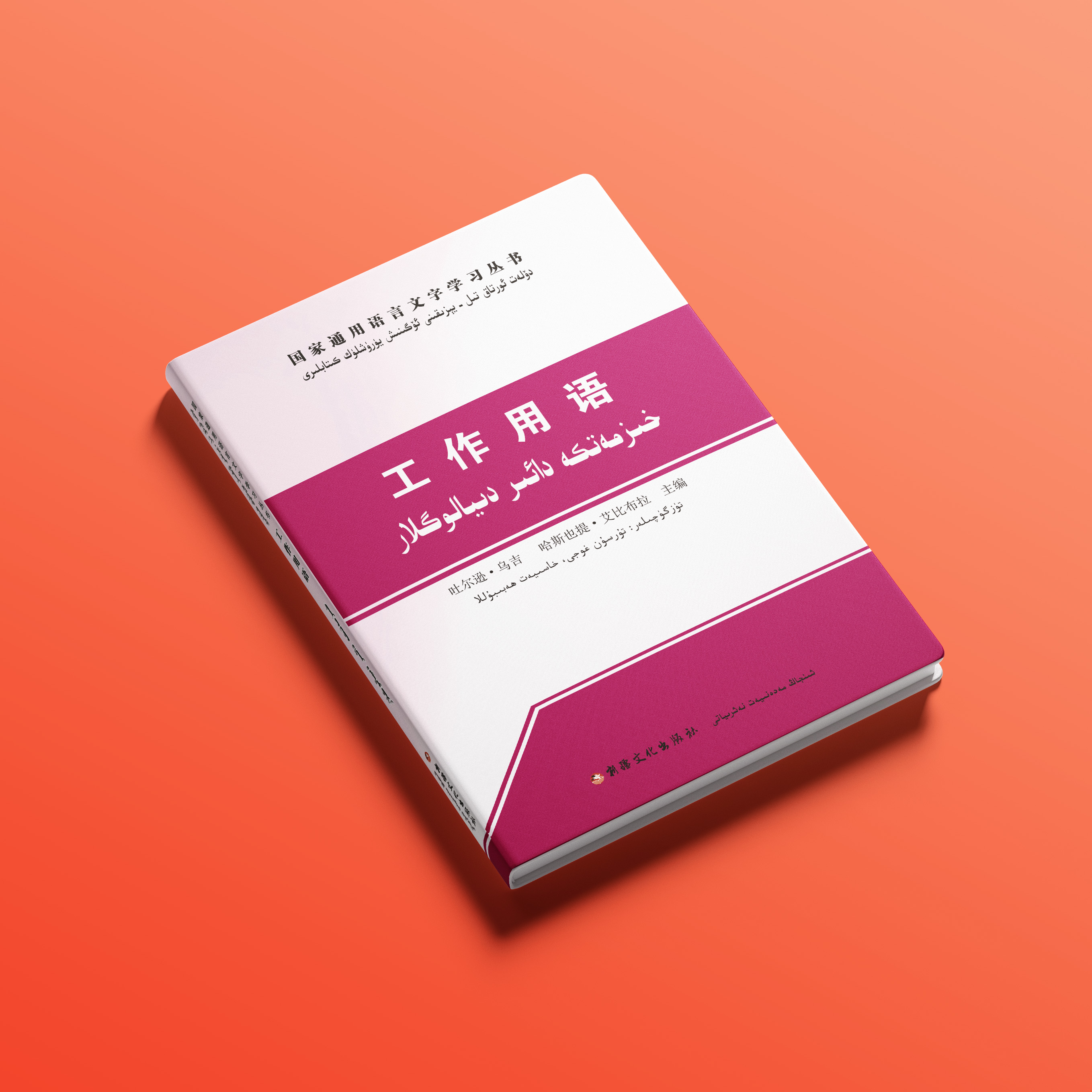 国家通用语言文字汉维对照工作普通话书推荐2025全国通用