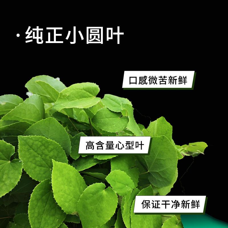 甘肃精品小圆叶三枝-九叶 草