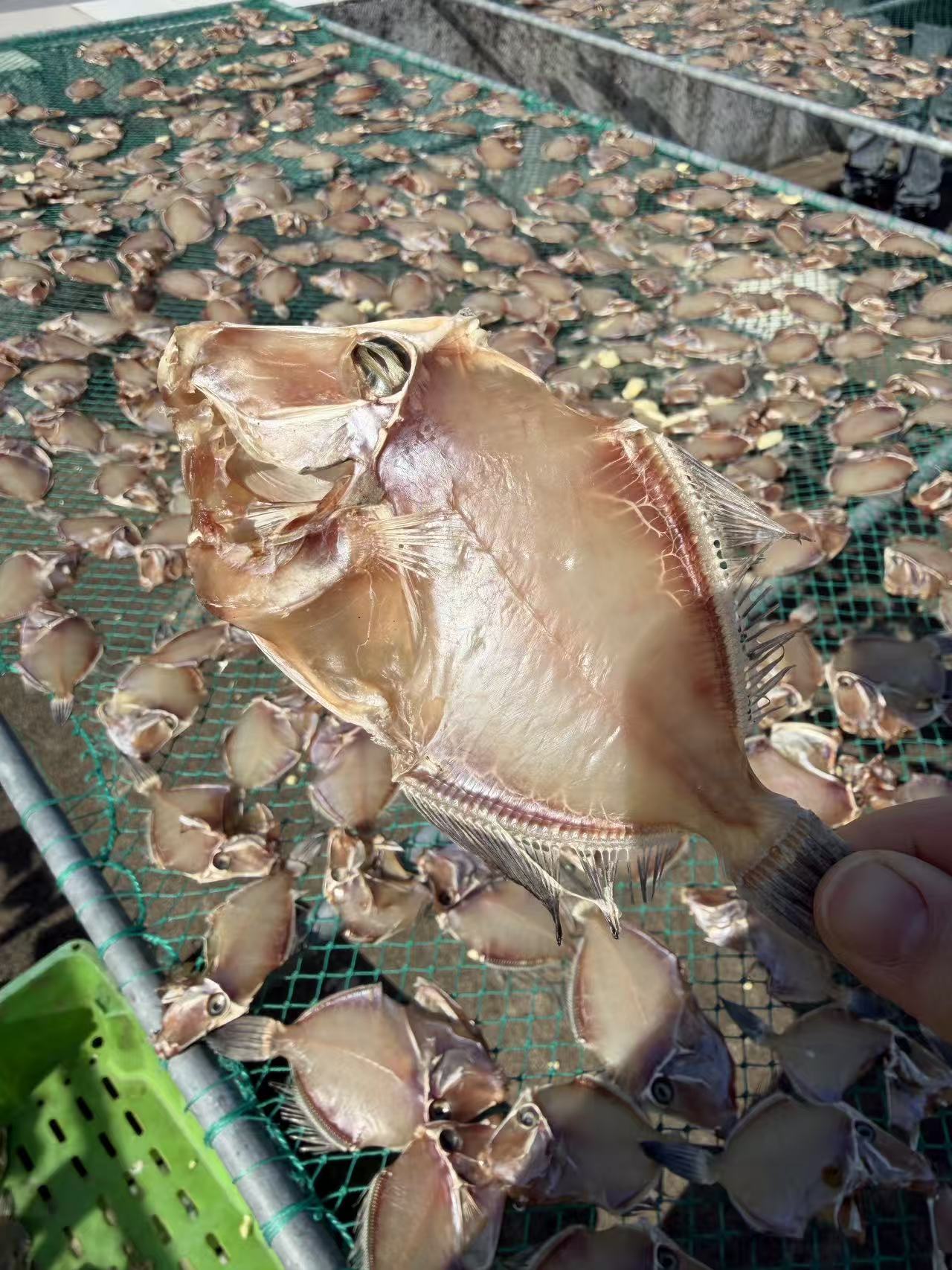 宁波石浦渔山岛小扒皮鱼干   1斤20条左右