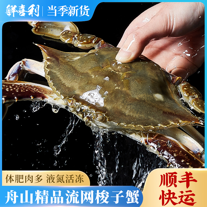 舟山梭子蟹4两左右10只鲜冻海蟹海鲜3斤飞蟹白公蟹顺丰冷运【冻蟹】