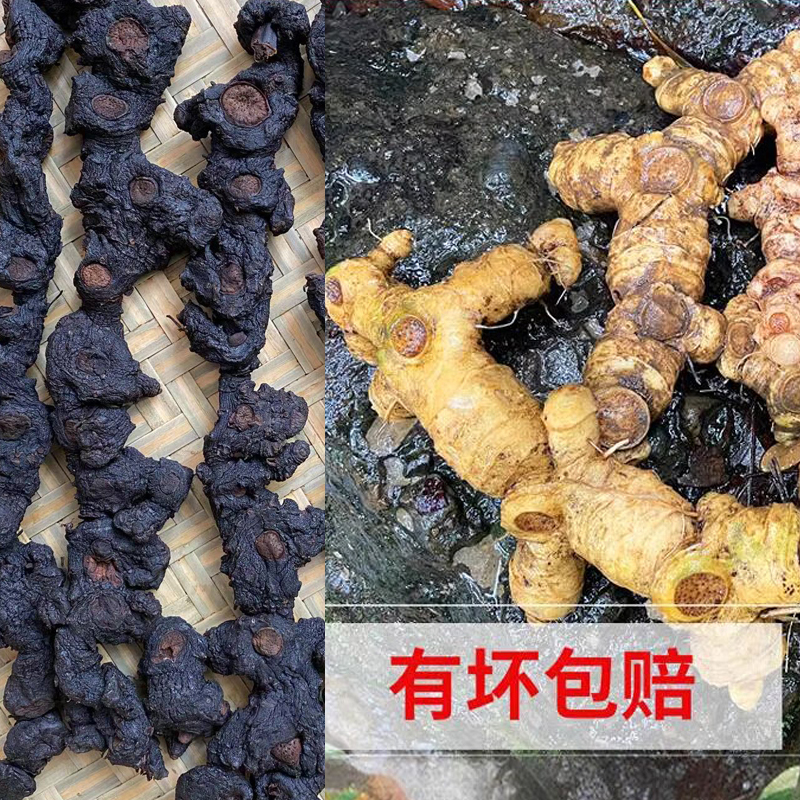 高年份 仙人余粮 整根发  真材实料 可搭配黄芪 枸杞泡水泡酒