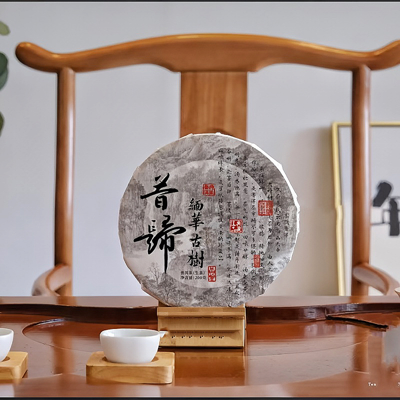 缅华古树昔归2024年古树生茶普洱茶饼茶生津猛烈喉韵好入口香甜