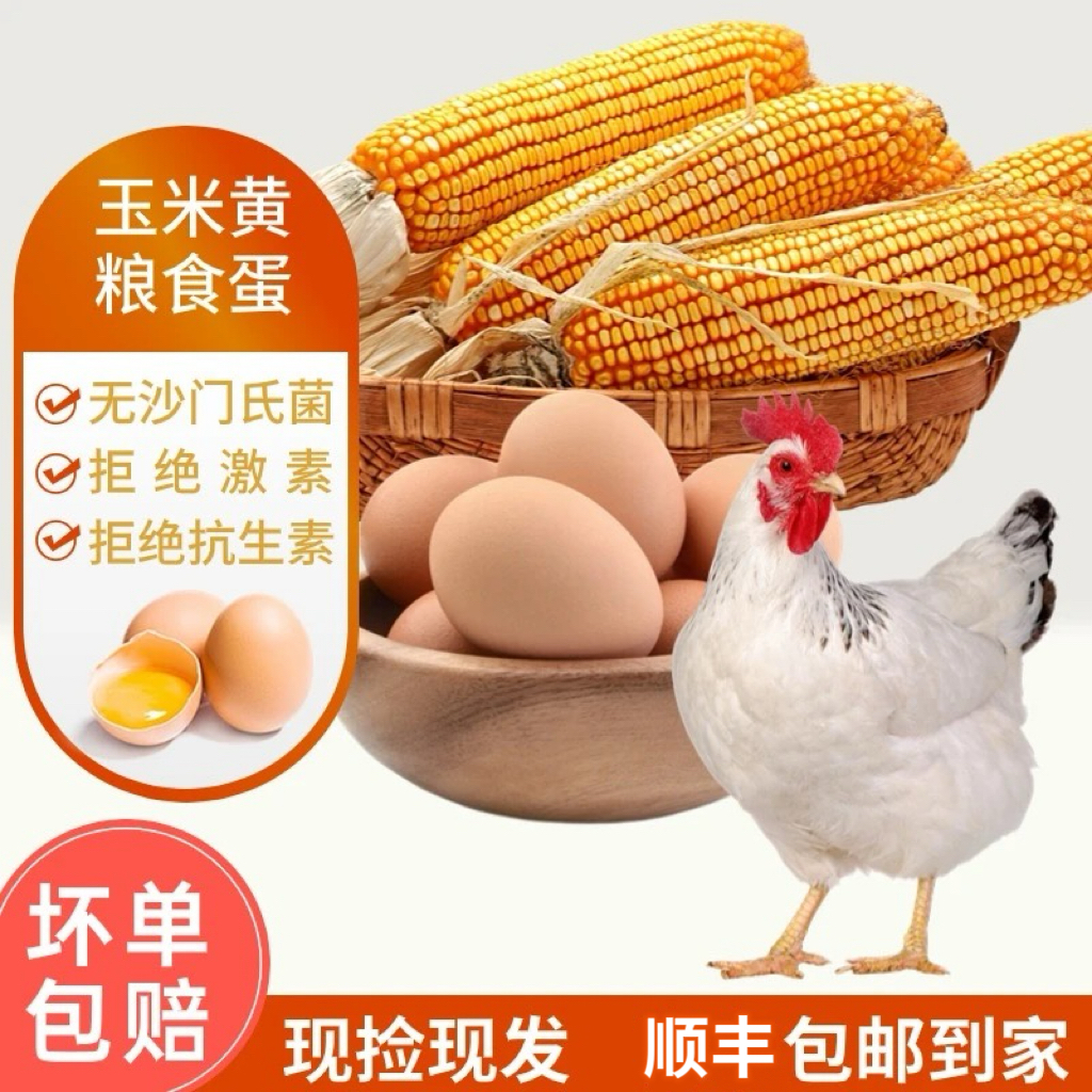 农鲜军30/40枚玉米黄鸡蛋健康营养整箱顺丰包邮