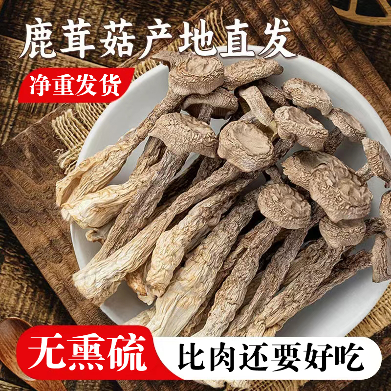 鹿茸菇干货500g/250g古田特产鹿茸菌脆脆菇食用菌干锅脱水蔬菜