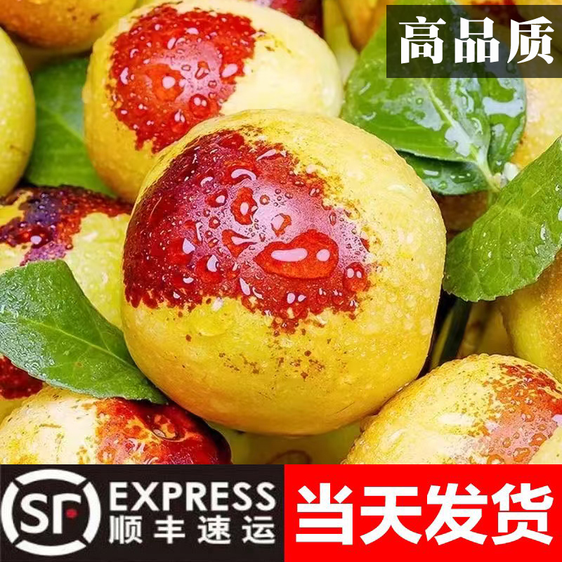 【高品质顺丰】现摘冰糖冬枣山东脆甜沾化冬枣当季新鲜水果大3/5斤