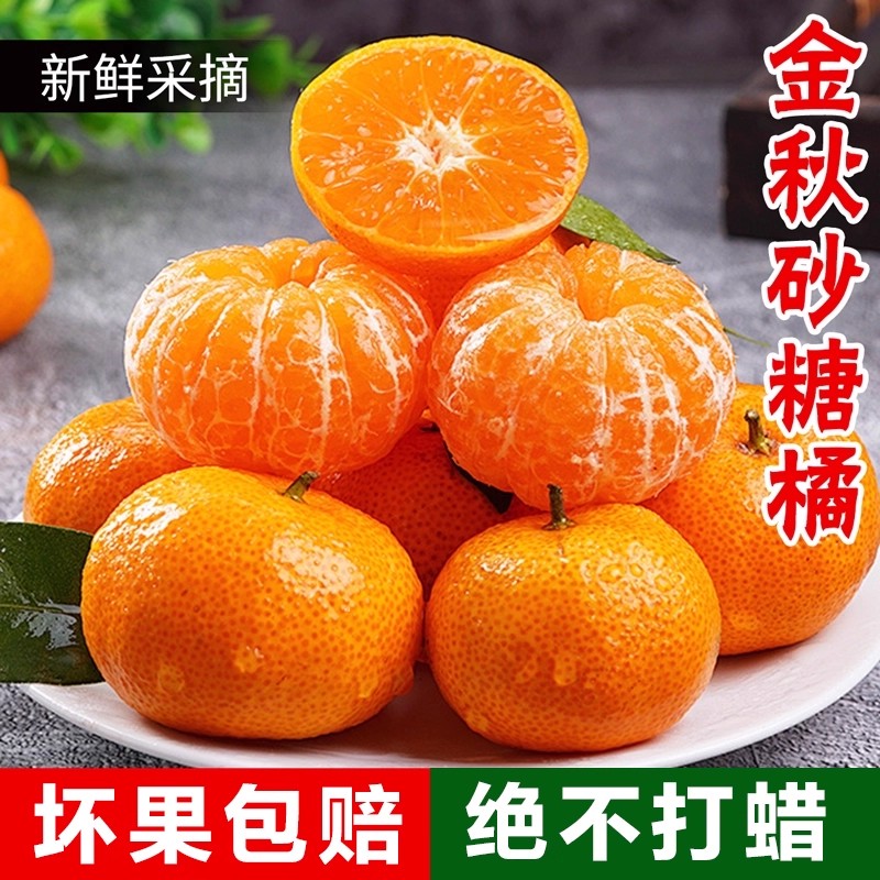 砂糖橘头茬新鲜采摘清甜爆汁老树鲜果水果超甜橘子水果当季热卖