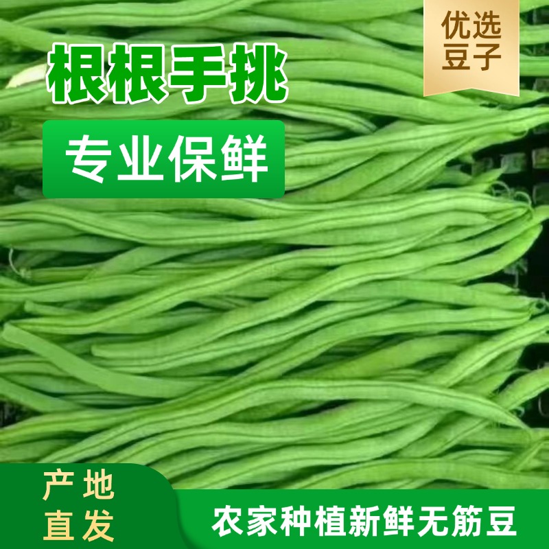 云南高品质无筋豆四季豆角当季新鲜蔬菜